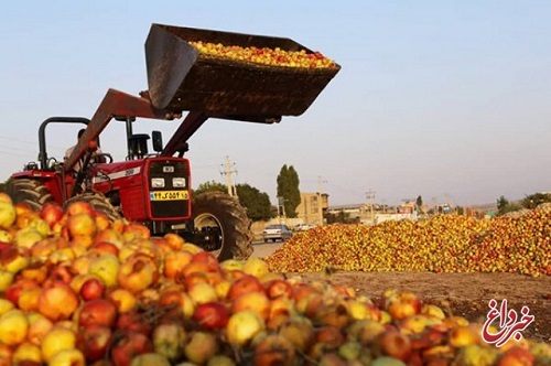 عدم همکاری کارخانجات آذربایجان غربی در خرید سیب