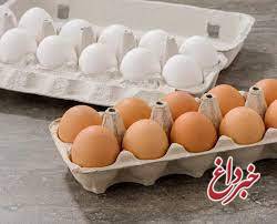 آخرین قیمت از تخم مرغ‌های وارداتی در بازار