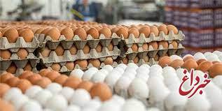 تخم‌مرغ ترکیه‌ای بازار را تنظیم نکرد