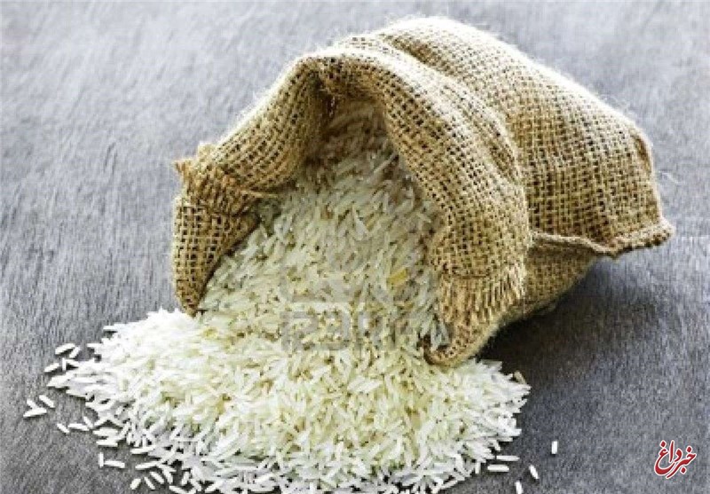 ذخایر برنج وارداتی بخش خصوصی نزدیک به صفر است / برنج در برخی کشورها خوراک دام شد