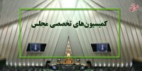 این هفته 9 وزیر دولت به کمیسیون های مجلس می‌روند