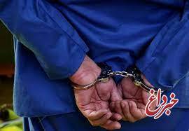 دستگیری ۴ مالخر خارجی در تهران