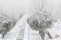 آبعلی با نیم متر برف، رکوردار بارش تهران در شبانه‌روز گذشته