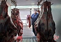 توزیع گوشت گوسفند «روسی» برای تنظیم بازار / قیمت: ۱۸۰ هزار تومان