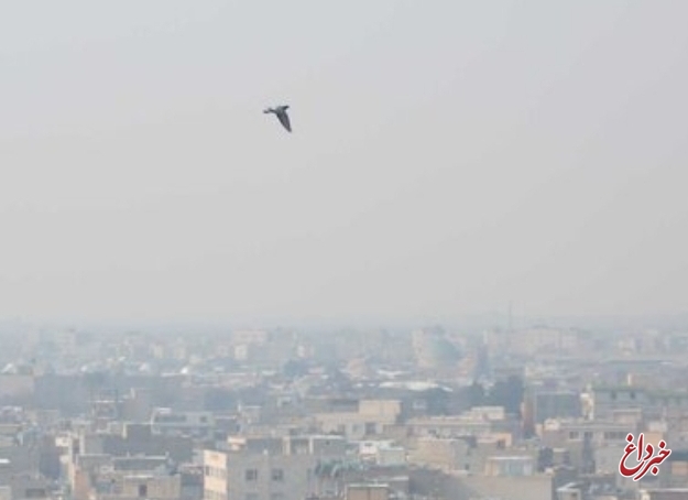 هشدار نارنجی آلودگی هوا در پایتخت