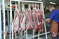 قیمت گوشت را به زیر ۳۰۰ هزار تومان می رسانیم