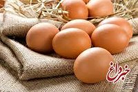 نرخ تخم‌مرغ از ابتدای شهریور اصلاح می‌شود