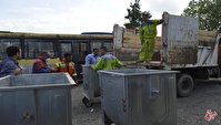 دلیل جمع آوری سطل زباله در برخی مناطق تهران| معاون شهردار: امنیتی است!