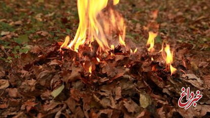 تبعات خطرناک سوزاندن برگ‌های پاییزی