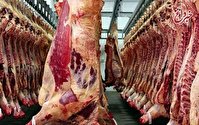 تاثیر محسوس صادرات و قاچاق دام بر بازار گوشت/ قیمت دام زنده ۸۵ هزار تومان شد