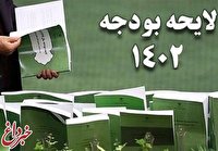 پیش‌بینی یک اقتصاددان درباره بودجه سال آینده/ حاتمی‌یزدی: تورم همیشه خبر بدی برای کارمندان و کارگران است