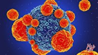 تبدیل سلول‌های خطرناک سرطانی به سلول‌های کم‌ضرر