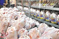 سناریو سازی برای فروش مرغ / هم گران شده هم مردم بیشتر می خرند؟