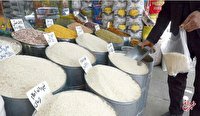 تا دو دهه دیگر برنج شمالی نابود می‌شود / ماجرا چیست؟