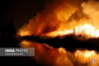 وقوع ۱۷۳ فقره آتش سوزی در تالاب های ایران