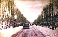 طولانی‌ترین خیابان تهران؛ ۸۶ سال قبل/ عکس