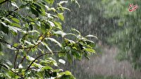 پیش‌بینی وضعیت هوا طی روزهای آینده/ رگبار باران و وزش باد شدید در ۱۱ استان