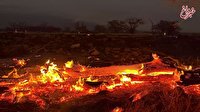 تلفات آتش‌سوزی‌های هاوایی به ۶۷ نفر رسید