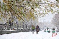 مردم این ۸ شهر منتظر بارش برف باشند/ پیش‌بینی اولین برف پاییزی ایران در ۵ روز آینده