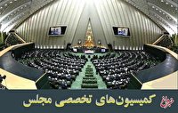 طرح ساماندهی استخدام کارکنان دولت در دستور کار این هفته کمیسیون‌ اجتماعی