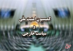 این وزیر پیشنهادی پزشکیان، کمیسیون امنیت ملی مجلس را بهم ریخت/ «جام زهر» کار دست آقای وزیر پیشنهادی می دهد؟