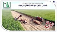 «نیشکر» اوایل دی‌ماه واگذار می‌شود