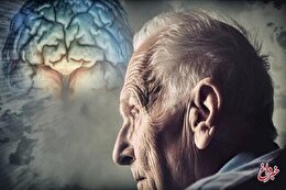 مغز هم پیر می‌شود؟/ این ویتامین‌ها زوال شناختی را از شما دور می‌کنند
