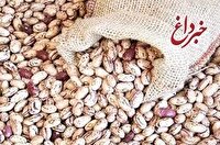 لوبیا چیتی در روزهای اخیر تبدیل به مساله شده است