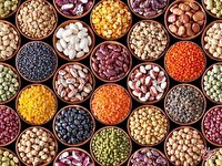 دلیل گرانی حبوبات ؛ حذف ارز ترجیحی یا ممنوعیت واردات؟ / چرا قیمت‌ها تا این حد نجومی شده است؟