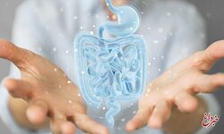 حفظ سلامت روده با ۴ ویتامین‌ کلیدی