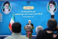 عارف: اجازه نمی‌دهیم موانعی بر سر راه تولیدکنندگان ایجاد شود/دولت باید تسهیل‌گر باشد و نه مچ‌گیر