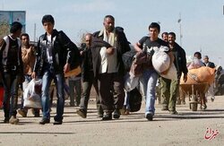 انتقاد تند یک جامعه‌شناس/ این همه جمعیت اتباع در کشور داریم اما متخصصان اتباع در ایران کجا هستند؟/گویی ایران کاروانسراست