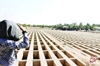 عضو شورای شهر: مافیای زمین دنبال بحرانی نشان دادن کمبود قبر در تهران هستند