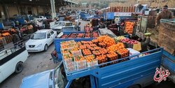 پیاز، سیب‌زمینی و گوجه‌فرنگی دوباره گران شد/ ماجرای افزایش ۵۰ درصدی قیمت میوه چیست؟