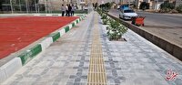 پس لرزه های رفتار عجیب شهردار یکی از مناطق تهران/ مدیریت جهادی یعنی «بچه بدو چهار تا نیمکت بذار توی پارک»؟