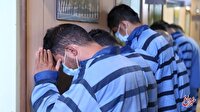 قاچاق گونه‌های حیوانی از حیات وحش که باورتان نمی‌شود