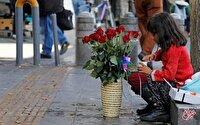 آمار بازماندگان از تحصیل؛ اولویت ادامه تحصیل با پسران است/ کودک همسری از علل ترک تحصیل دختران/ جامعه‌ای که سواد خواند نوشتن دارد اما بی‌سواد است