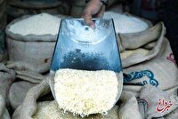 ریزش شدید قیمت برنج آغاز شد/ خریداران دست نگه داشتند