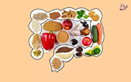 تأثیر رژیم غذایی پرچرب بر سلامت سیستم ایمنی روده