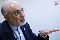 علی اکبر صالحی: ایده ظریف برای کنسرسیوم هسته ای، حرف جدیدی نیست؛ این ایده از قبل انقلاب مطرح است