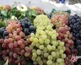 خواص معجزه آسای این میوه بهشتی برای سلامت قلب و مغز
