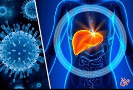توضیح مهم یک پزشک در خصوص واگیردار بودن بیماری هپاتیت B