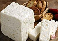 هر چه پنیر سفت‌تر باشد، کلسیم بیشتری دارد/ این نوع پنیرها را بیشتر مصرف کنید، چون نگهدارنده ندارند/ کاغذ روی پنیرهای ظرفی چه فایده‌ای دارد؟