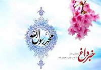 ستاره ای بدرخشید و ماه مجلس شد