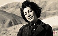 آغاز مرمت خانه فروغ فرخزاد و تبدیل آن به موزه