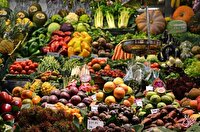 میوه‌ای بی‌نظیر برای کاهش وزن