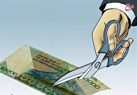 حذف صفرهای پول ملی به خودی خود مشکلی را حل نمی کند/ باید از مدل ترکیه و برزیل تجربه کسب کرد