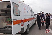 انحراف مینی‌بوس از جاده ۱۴ مصدوم برجای گذاشت