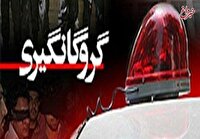 آزادی گروگان چینی توسط پلیس/ دستگیری باند گروگان‌گیر اتباع غیرمجاز