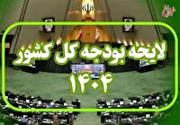 موافقت مجلس با ارجاع پرونده استنکاف وزارت کار از اجرای حکم بودجه سال جاری